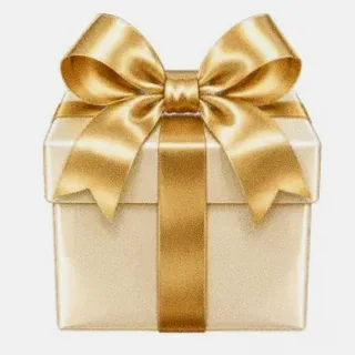Ribbon gift box — Wild Fortune