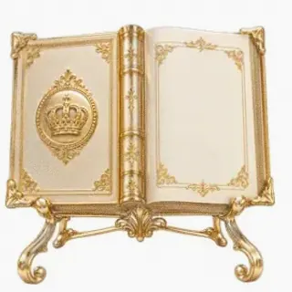 Ornate open book — Wild Fortune