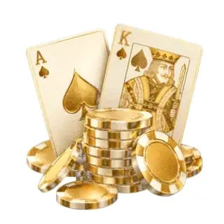 Poker playing cards — Wild Fortune
